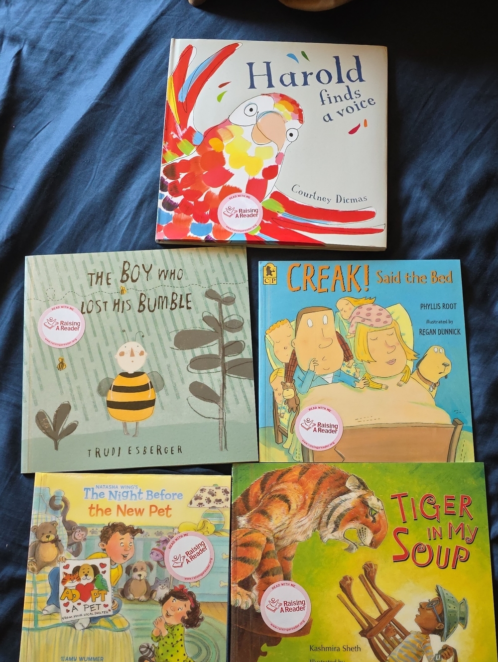 NEW Children's Picture Book Raising A READER